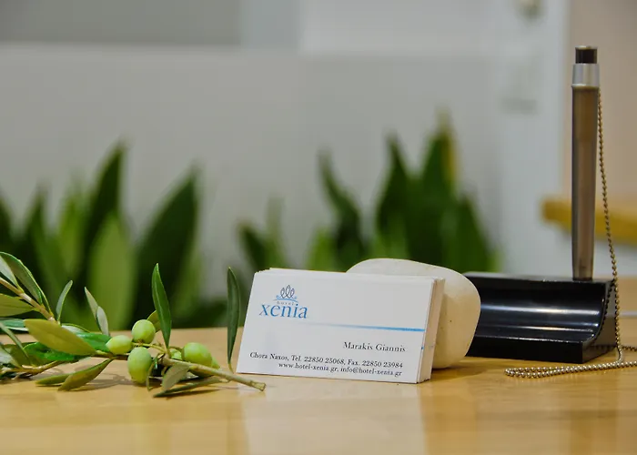 クセニア ホテル Naxos City