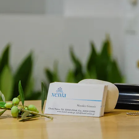 Xenia Otel Naxos City